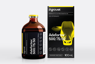 Adefortex®500/75/50