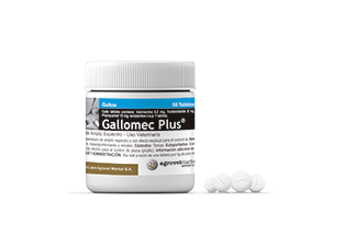 Gallomec Plus®