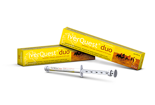 iverQuest® duo