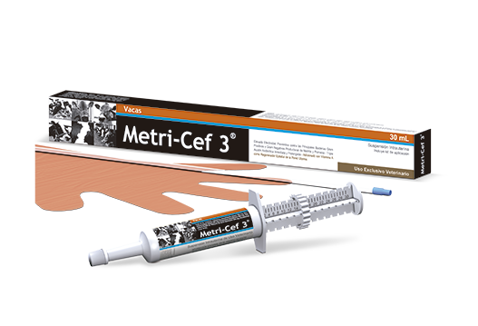 Metri-Cef 3® infusión antibiótica para ganado lechero 