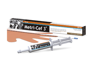 Metri-Cef 3®