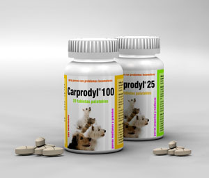 Carprodyl® 100 