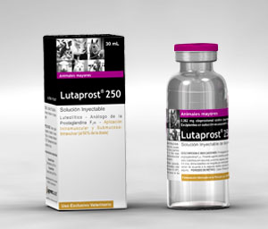 Lutaprost® 250 
