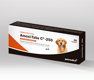 Amoxi-Tabs C®-250 