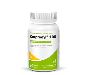 Carprodyl® 100 