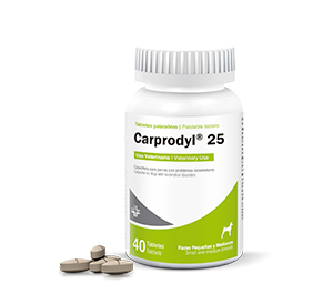 Carprodyl® 25 
