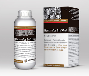 Hematofos B12® Oral