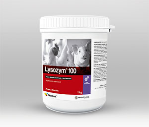 Lysozym® 100 | Zymex 100