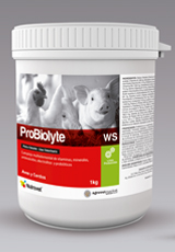 Probiolyte® WS