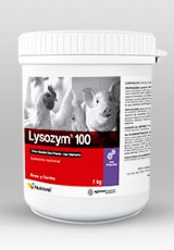 Lysozym®100