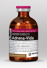 Adrena-Vida® | Analeptin