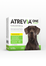 Atrevia® One X-Large