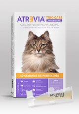 Atrevia® Trio Cats Spot On Large