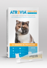 Atrevia® Trio Cats Spot On Medium