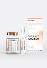 Cefaxam® 1000/500