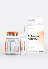 Cefaxam® 500/250