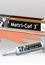 Metri-Cef 3®