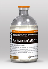 Pen Duo Strep® 250/200