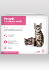 Petonic Cats Recuperation