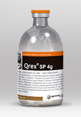 Qrex® SP 4g