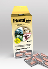 Trivantel® Ovinos Tabletas